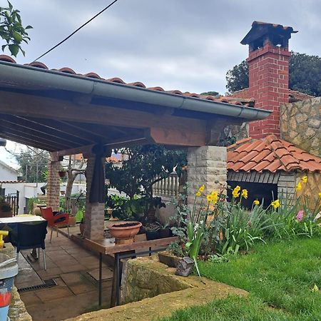 Zefir Apartments Premantura Dış mekan fotoğraf